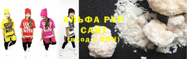 ECSTASY Тайга