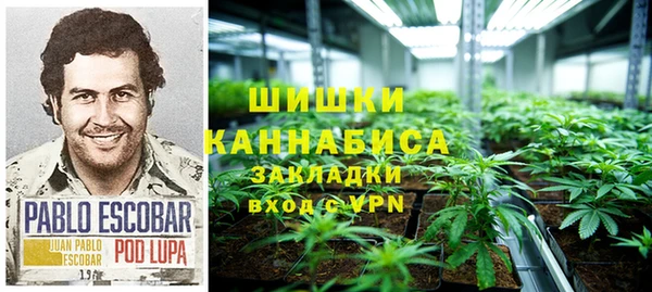 наркотики Бородино
