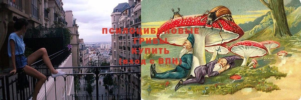 гидра Бронницы