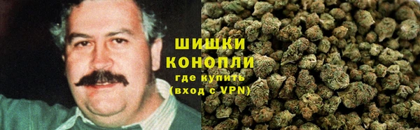 наркотики Бородино