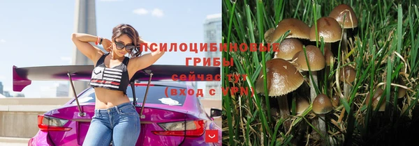 наркотики Бородино