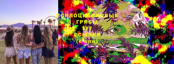 гидра Бронницы