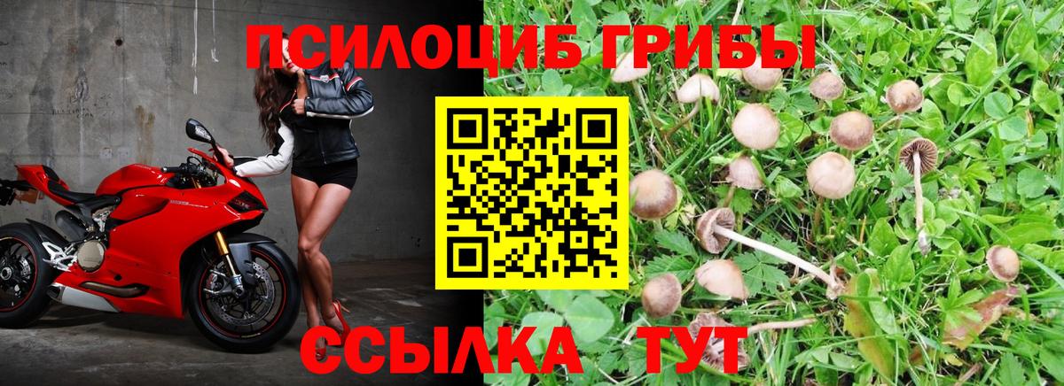 Выборг  Галлюциногенные грибы мухоморы  Вход с VPN 